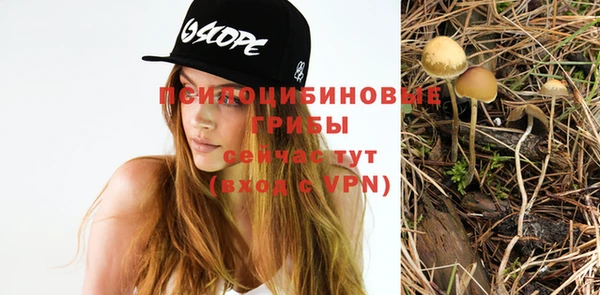 Альфа ПВП Михайловск
